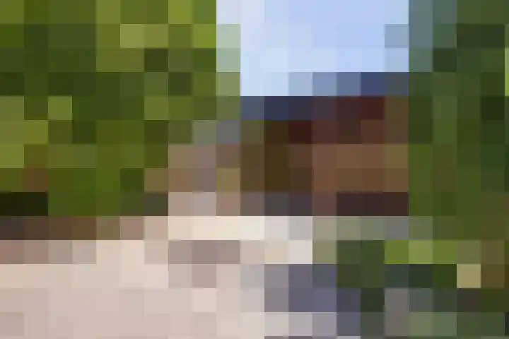 Leeuwerikstraat 23 Ermelo thumbnail 39