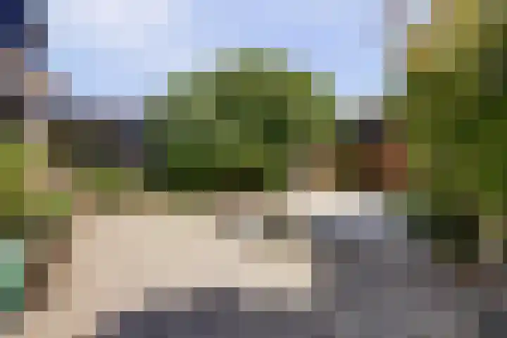 Leeuwerikstraat 23 Ermelo thumbnail 41