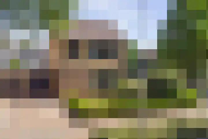 Leeuwerikstraat 23 Ermelo thumbnail 46