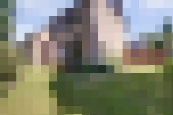 Leeuwerikstraat 23 Ermelo thumbnail 49