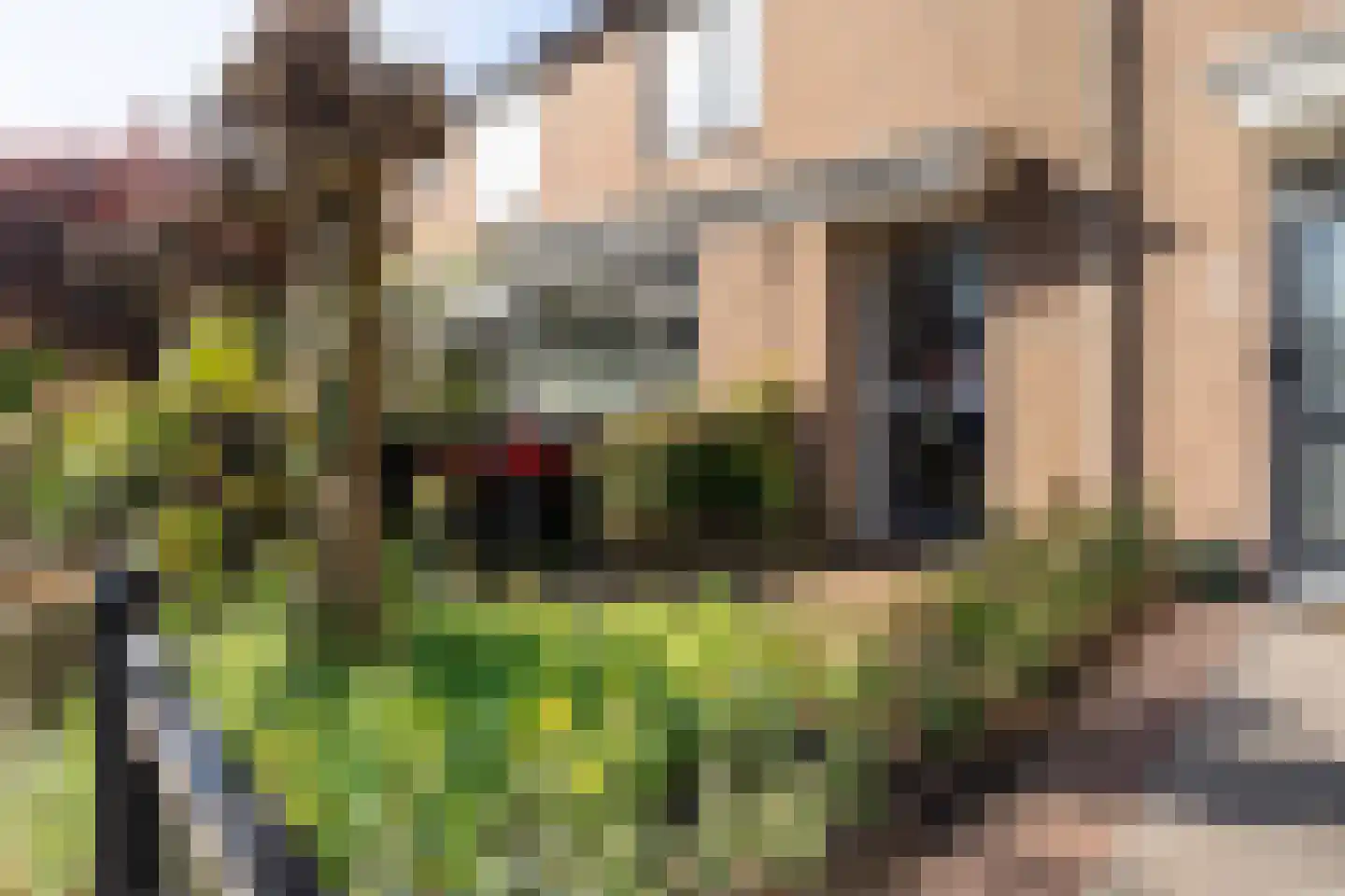 Leeuwerikstraat 23 Haastrecht thumbnail 4