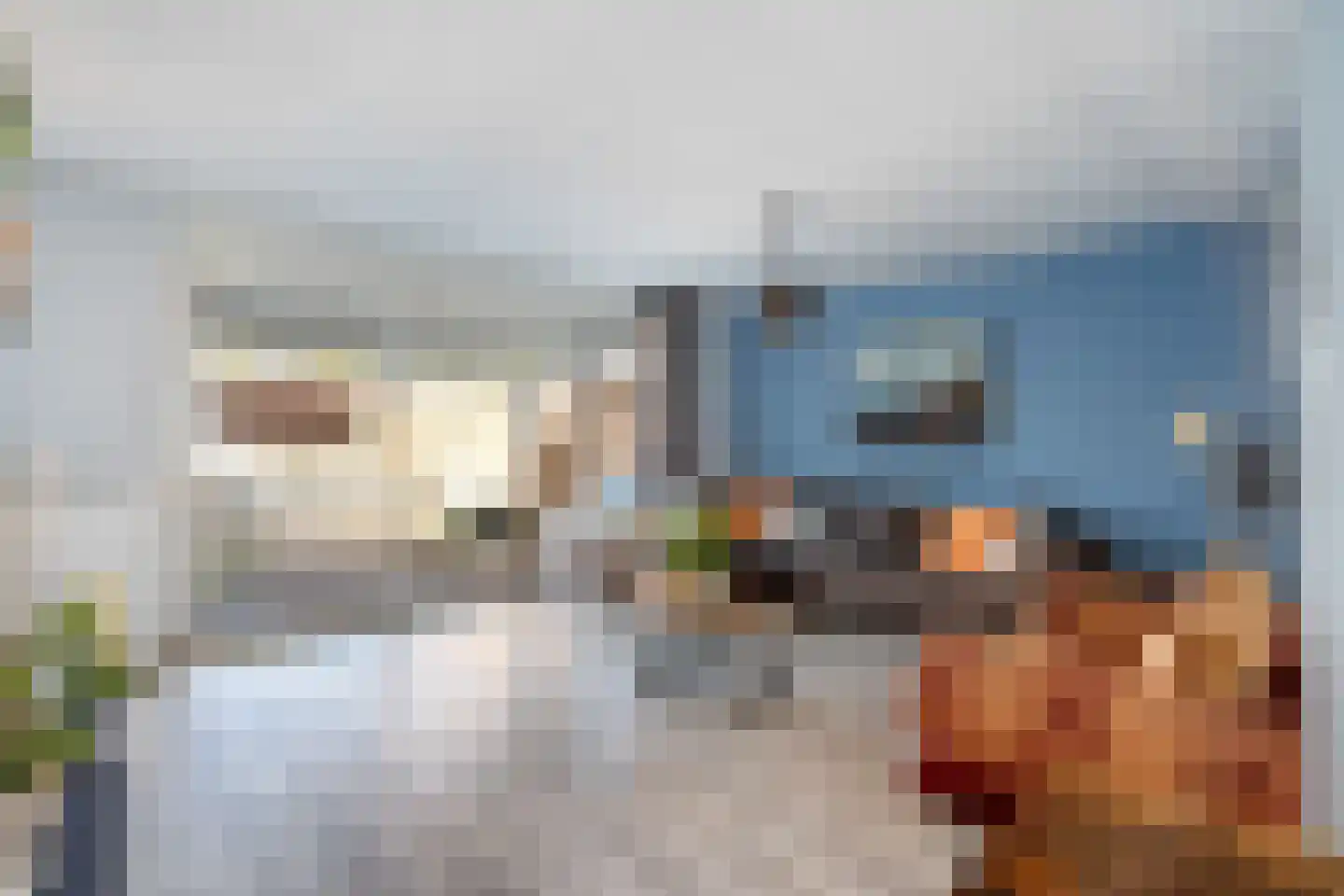 Leeuwerikstraat 23 Haastrecht thumbnail 6