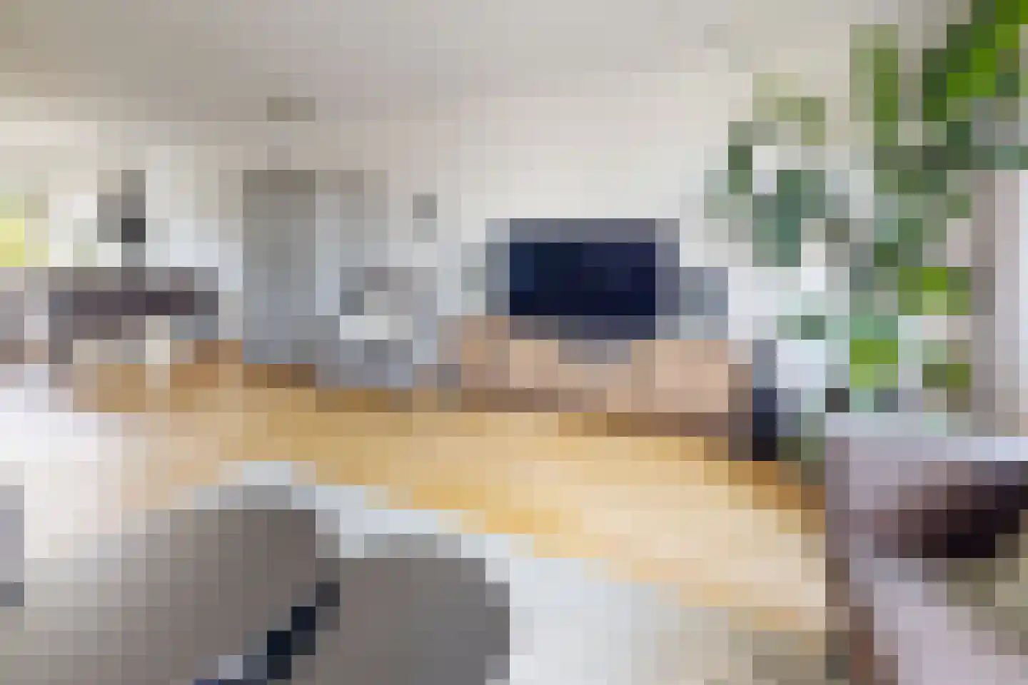 Leeuwerikstraat 24 Fijnaart thumbnail 14