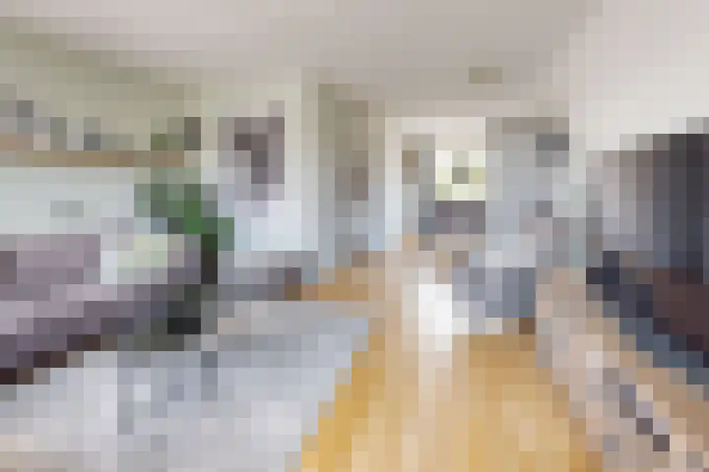 Leeuwerikstraat 24 Fijnaart thumbnail 16