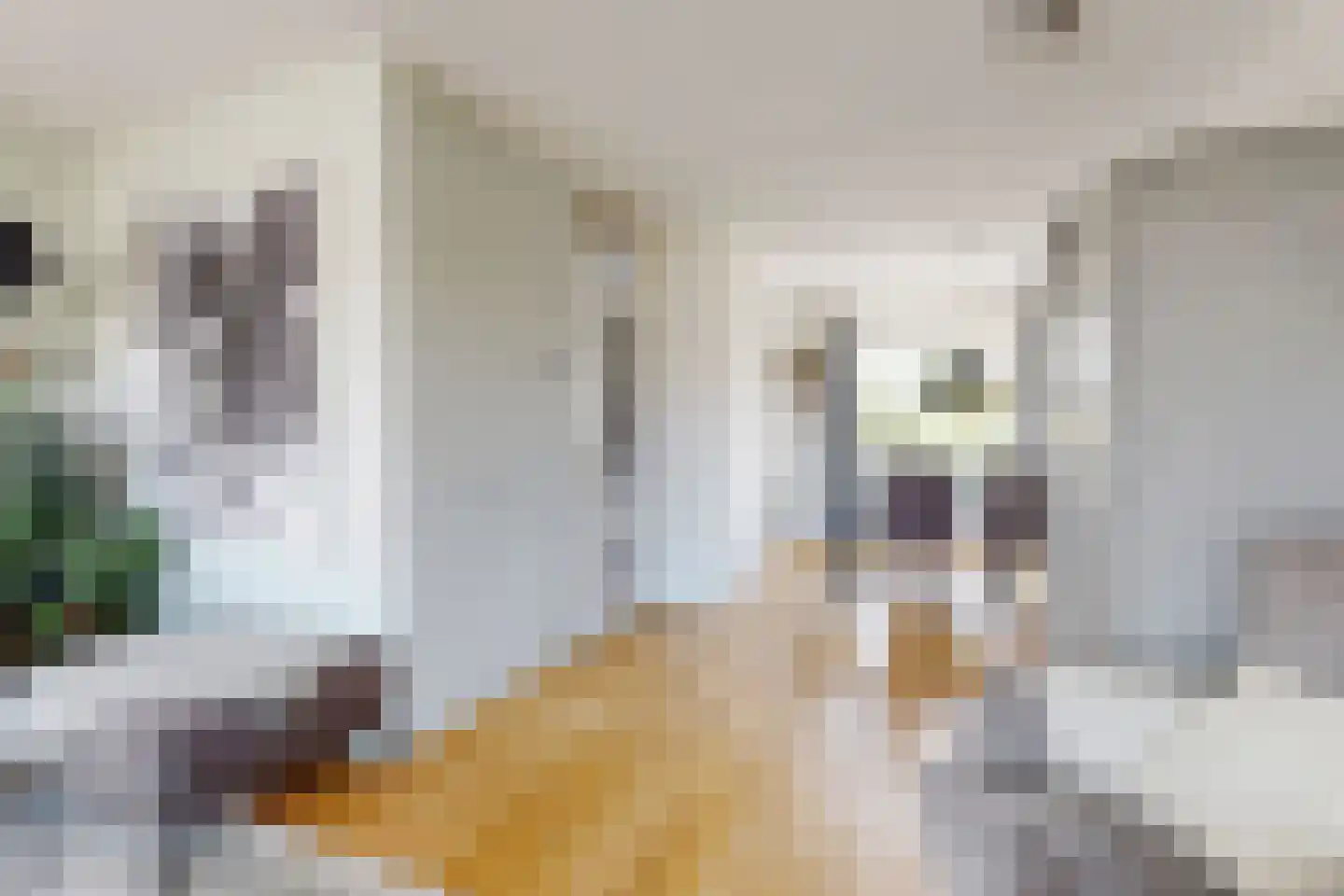 Leeuwerikstraat 24 Fijnaart thumbnail 17