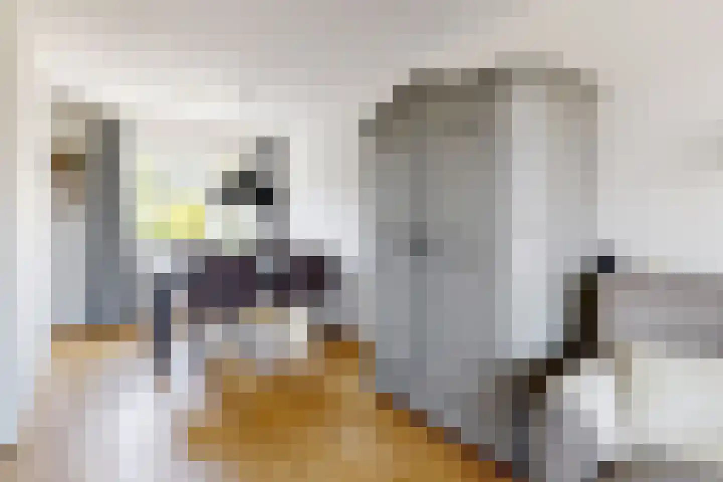 Leeuwerikstraat 24 Fijnaart thumbnail 18