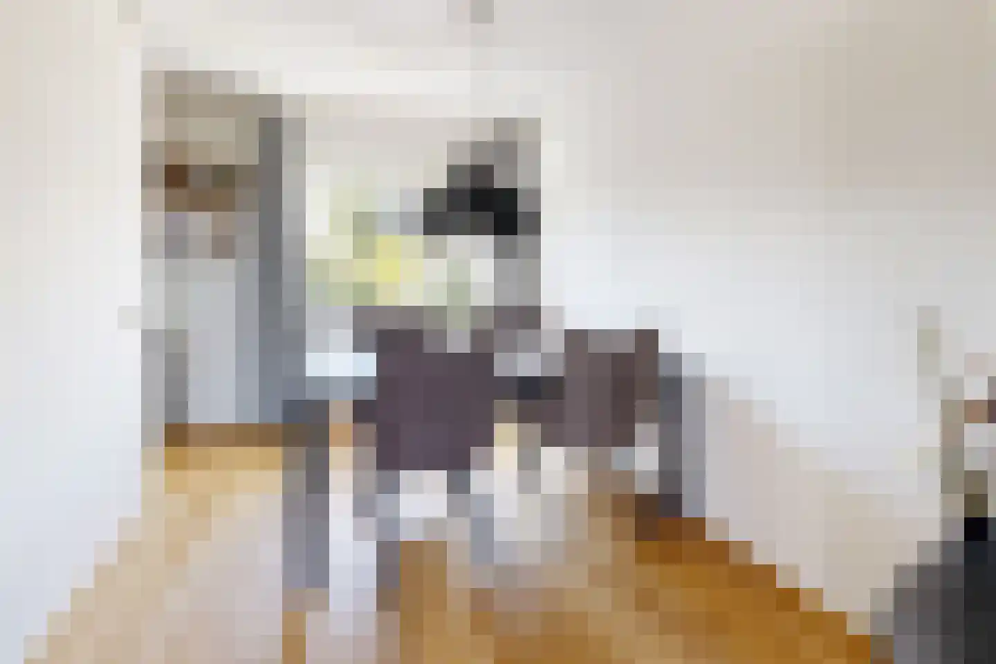 Leeuwerikstraat 24 Fijnaart thumbnail 19