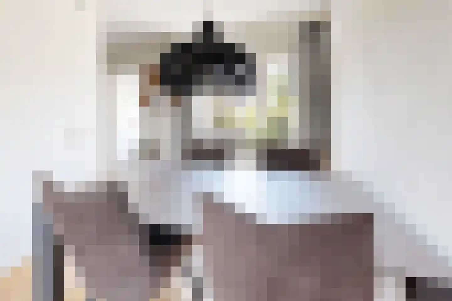 Leeuwerikstraat 24 Fijnaart thumbnail 20