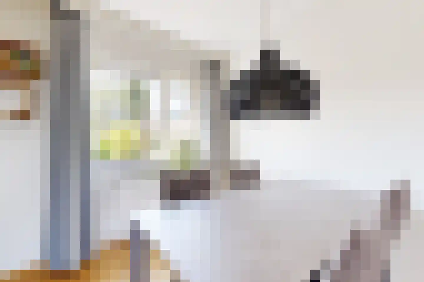 Leeuwerikstraat 24 Fijnaart thumbnail 22