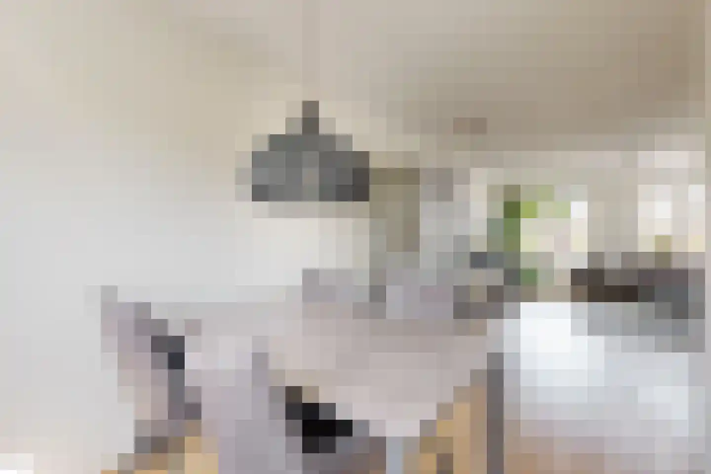 Leeuwerikstraat 24 Fijnaart thumbnail 23