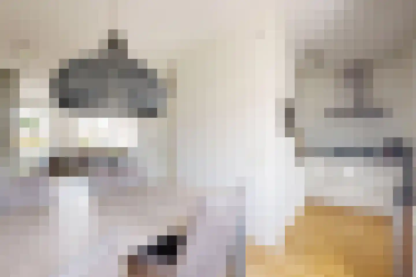 Leeuwerikstraat 24 Fijnaart thumbnail 24
