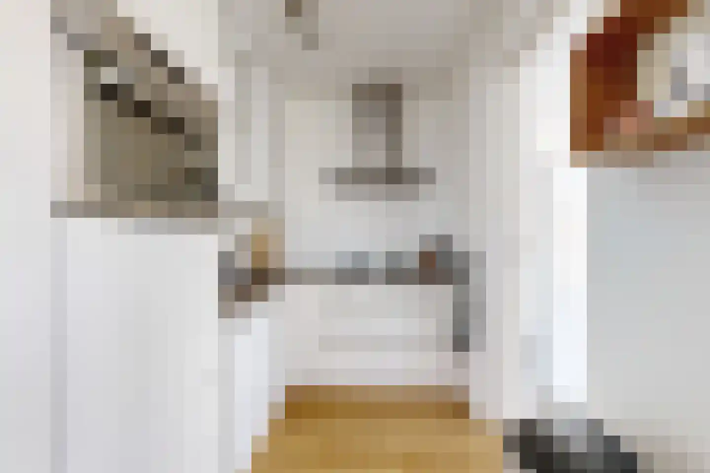Leeuwerikstraat 24 Fijnaart thumbnail 25