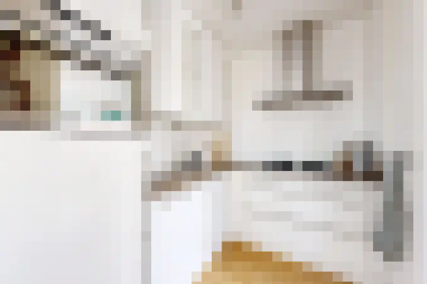 Leeuwerikstraat 24 Fijnaart thumbnail 26