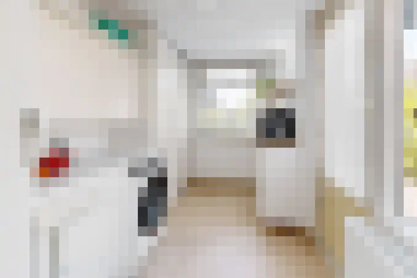 Leeuwerikstraat 24 Fijnaart thumbnail 28