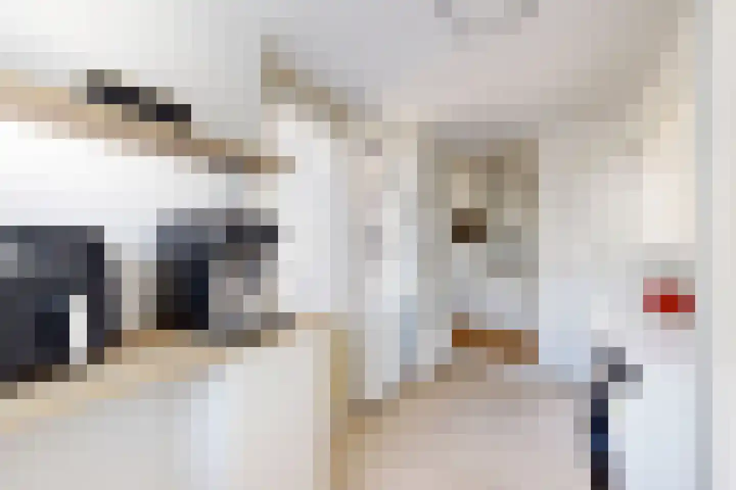 Leeuwerikstraat 24 Fijnaart thumbnail 29