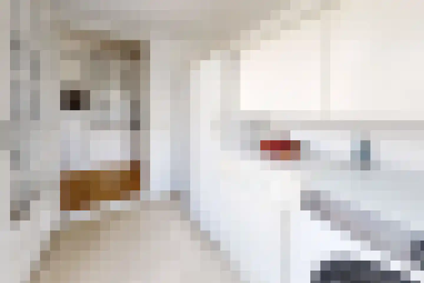 Leeuwerikstraat 24 Fijnaart thumbnail 30
