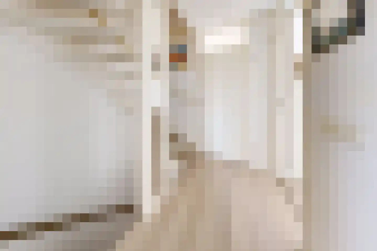 Leeuwerikstraat 24 Fijnaart thumbnail 31