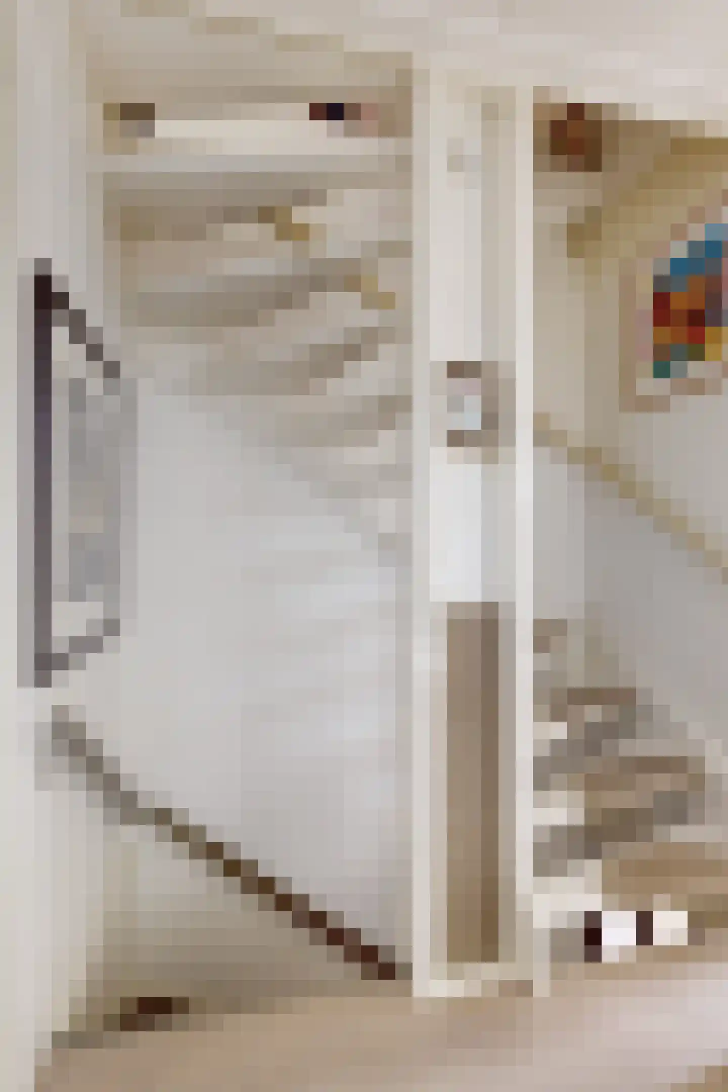 Leeuwerikstraat 24 Fijnaart thumbnail 33