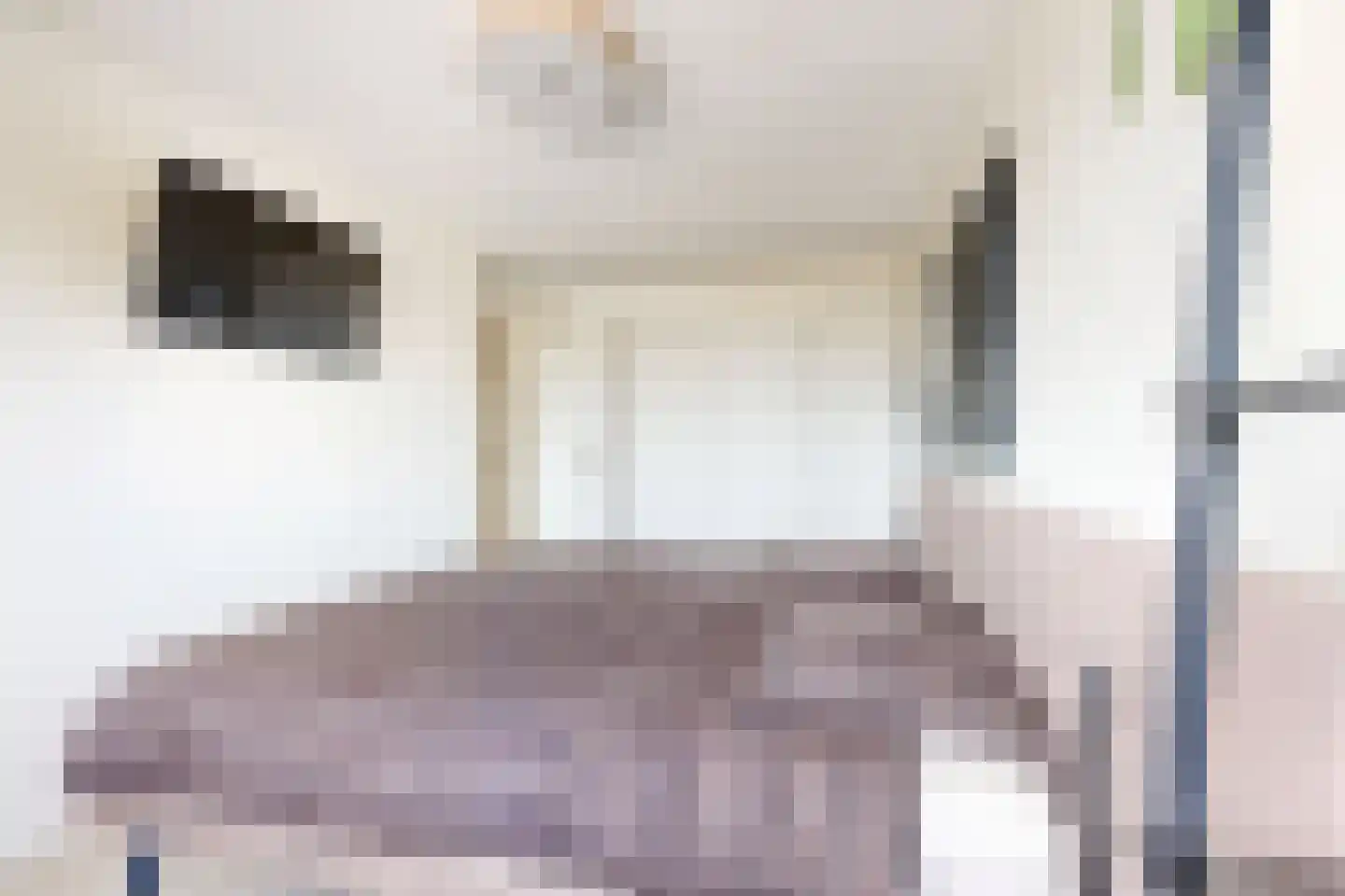 Leeuwerikstraat 24 Fijnaart thumbnail 34