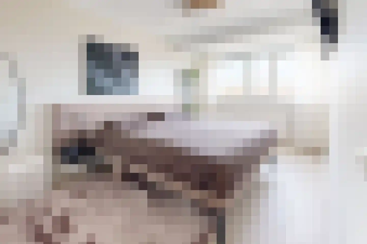 Leeuwerikstraat 24 Fijnaart thumbnail 35