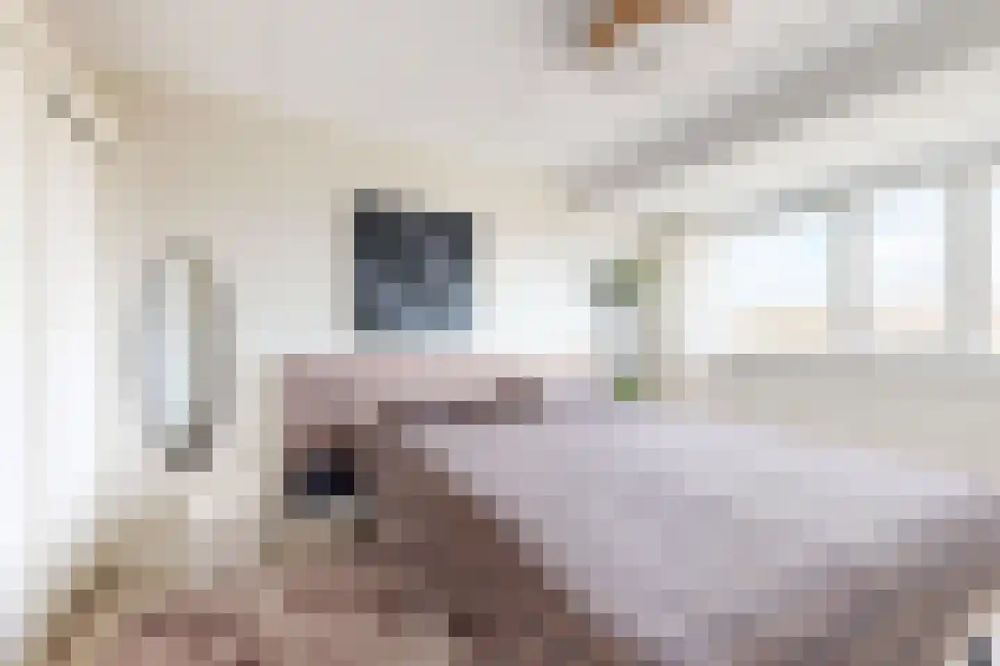 Leeuwerikstraat 24 Fijnaart thumbnail 36
