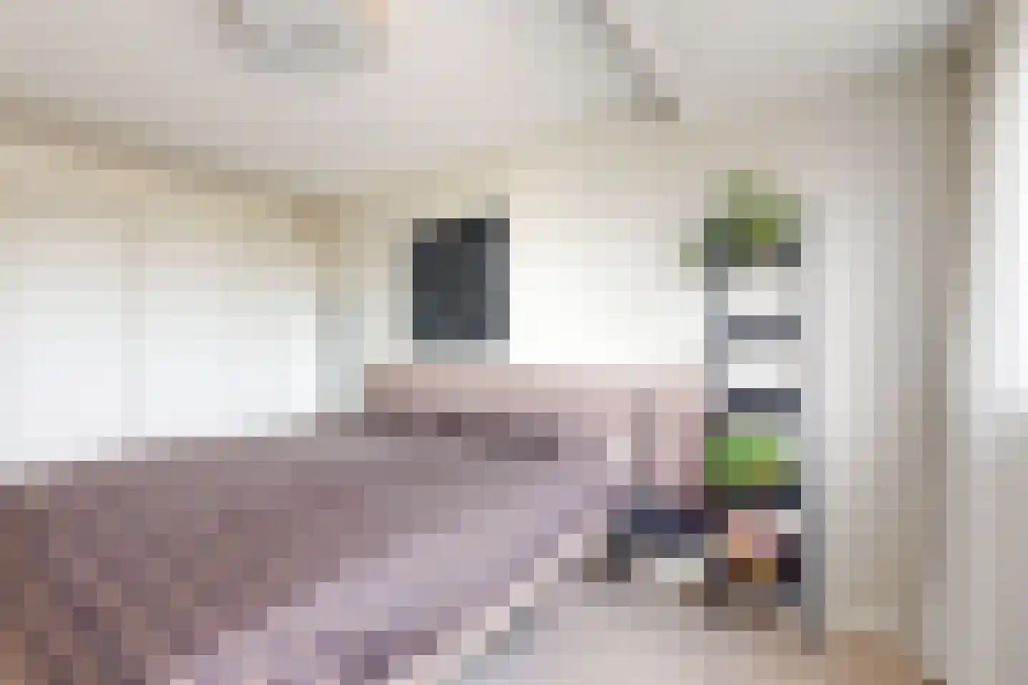 Leeuwerikstraat 24 Fijnaart thumbnail 37