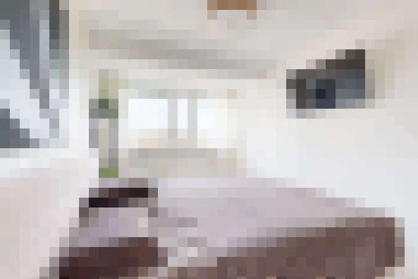 Leeuwerikstraat 24 Fijnaart thumbnail 38