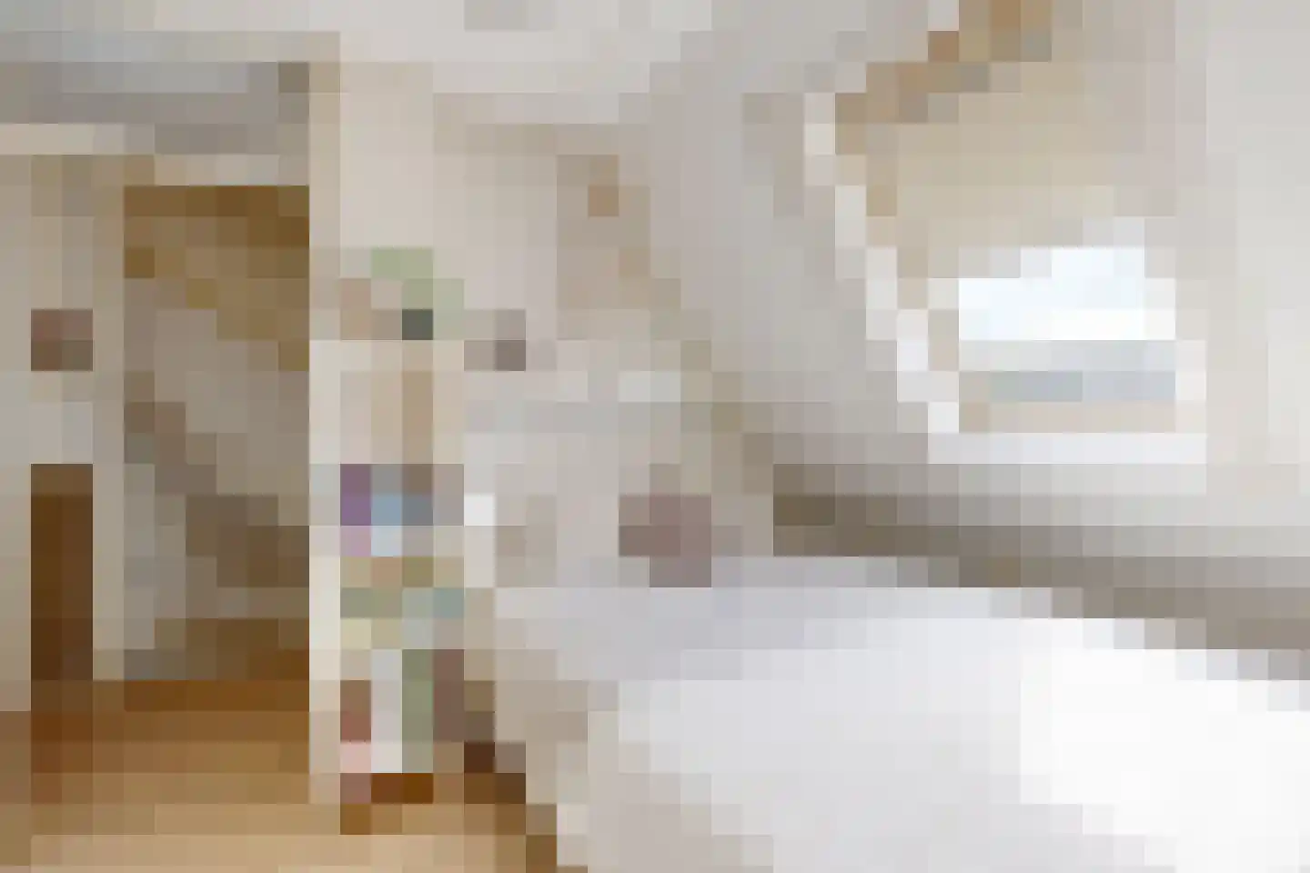 Leeuwerikstraat 24 Fijnaart thumbnail 39
