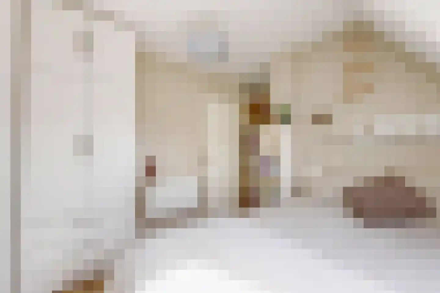 Leeuwerikstraat 24 Fijnaart thumbnail 40
