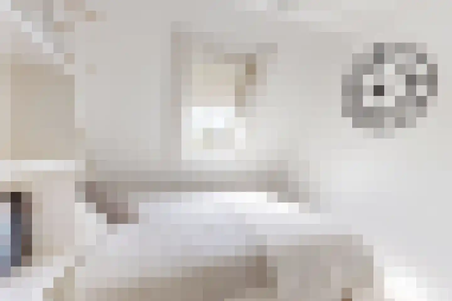 Leeuwerikstraat 24 Fijnaart thumbnail 41