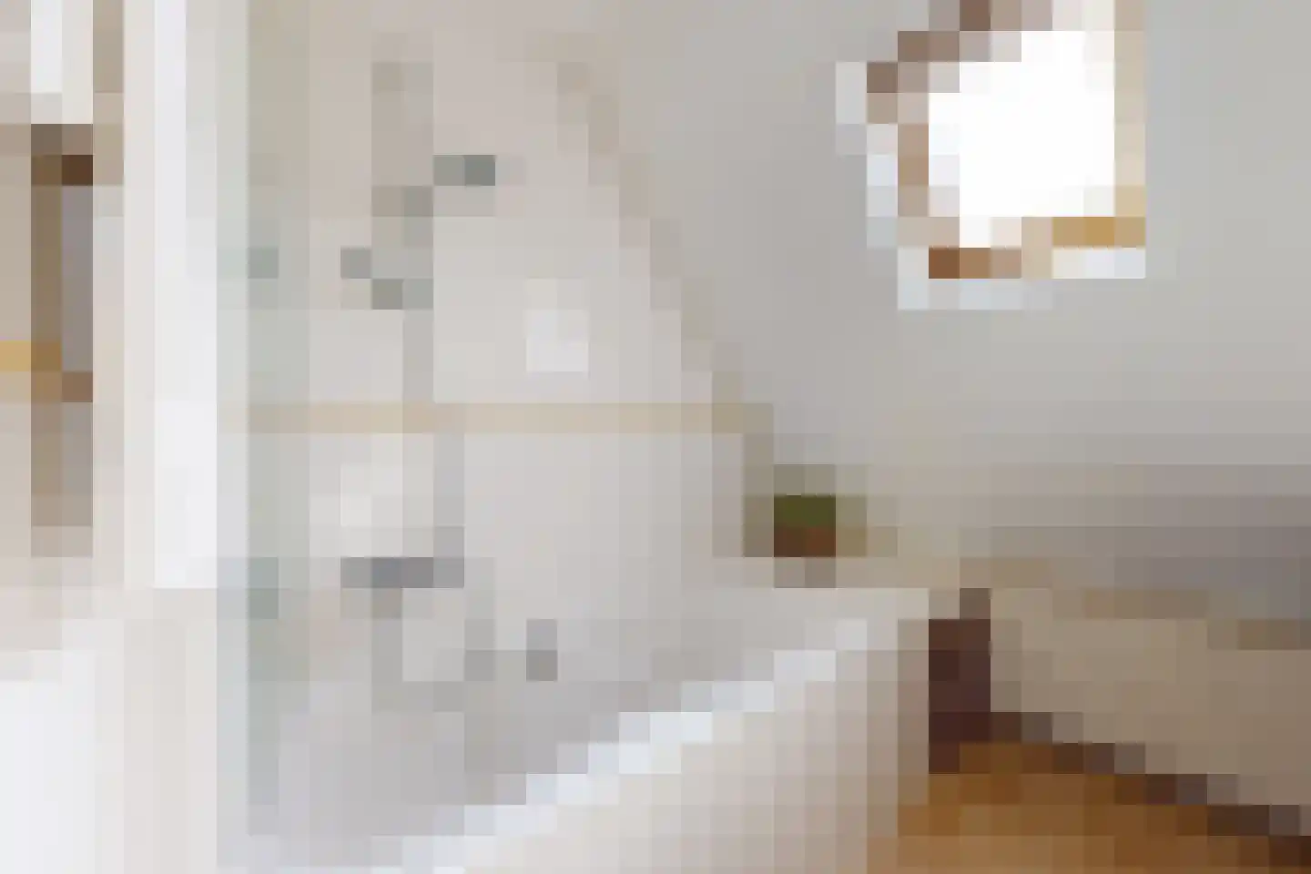 Leeuwerikstraat 24 Fijnaart thumbnail 45