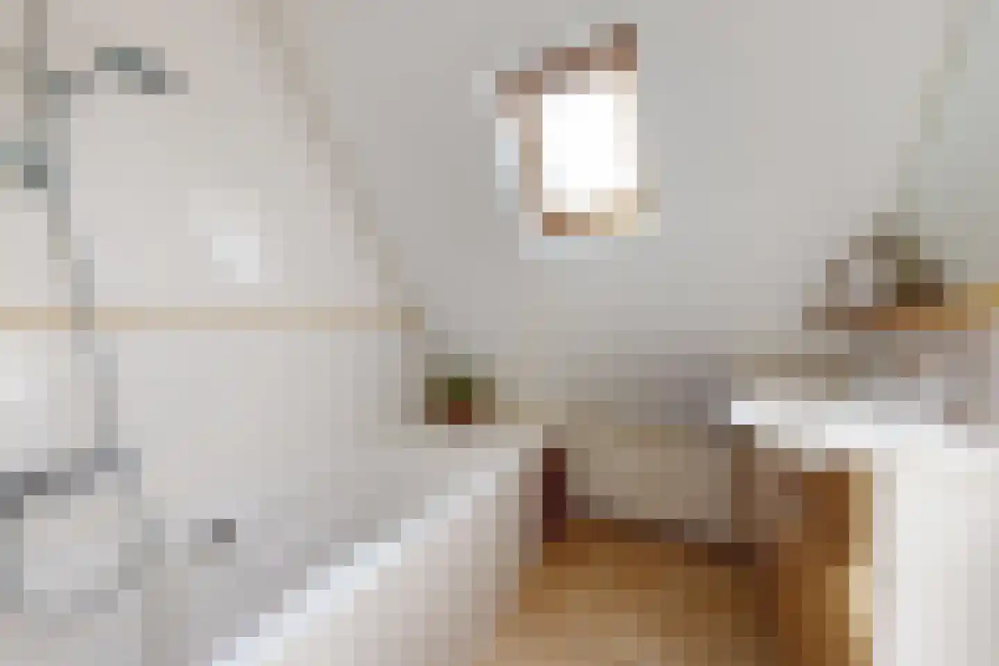 Leeuwerikstraat 24 Fijnaart thumbnail 46