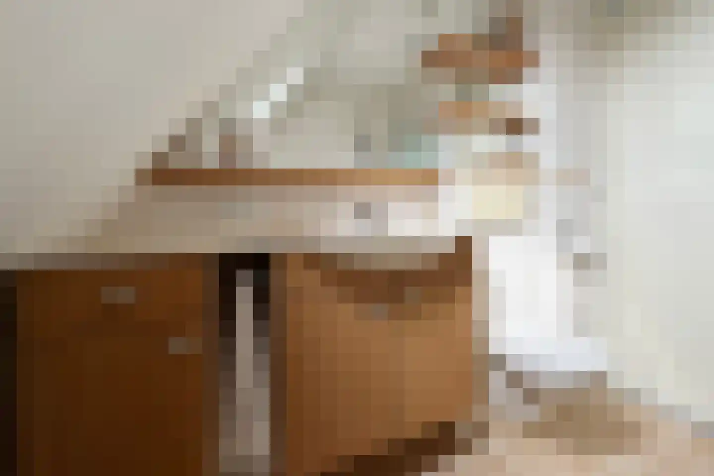 Leeuwerikstraat 24 Fijnaart thumbnail 48