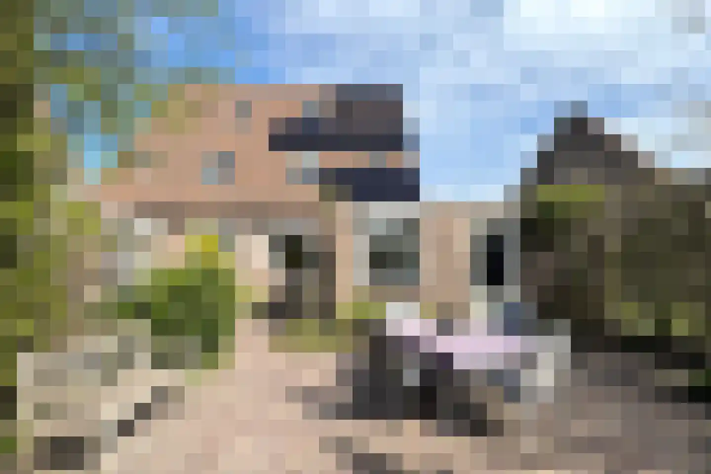 Leeuwerikstraat 24 Fijnaart thumbnail 5