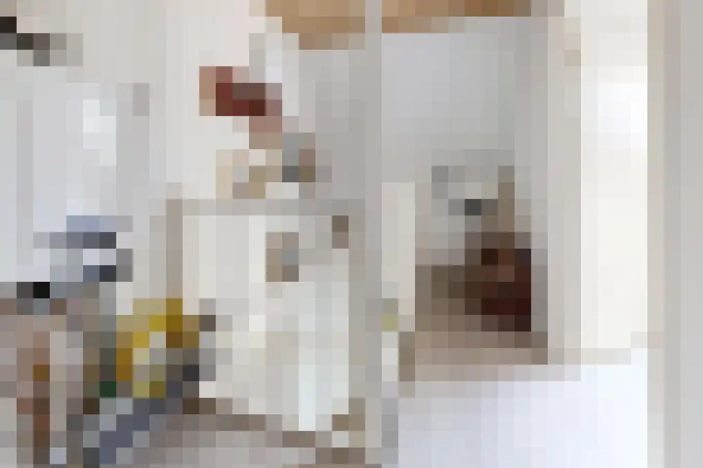 Leeuwerikstraat 24 Fijnaart thumbnail 51