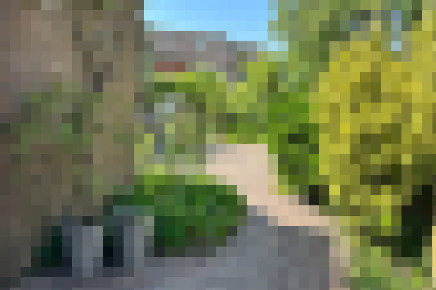 Leeuwerikstraat 24 Fijnaart thumbnail 51