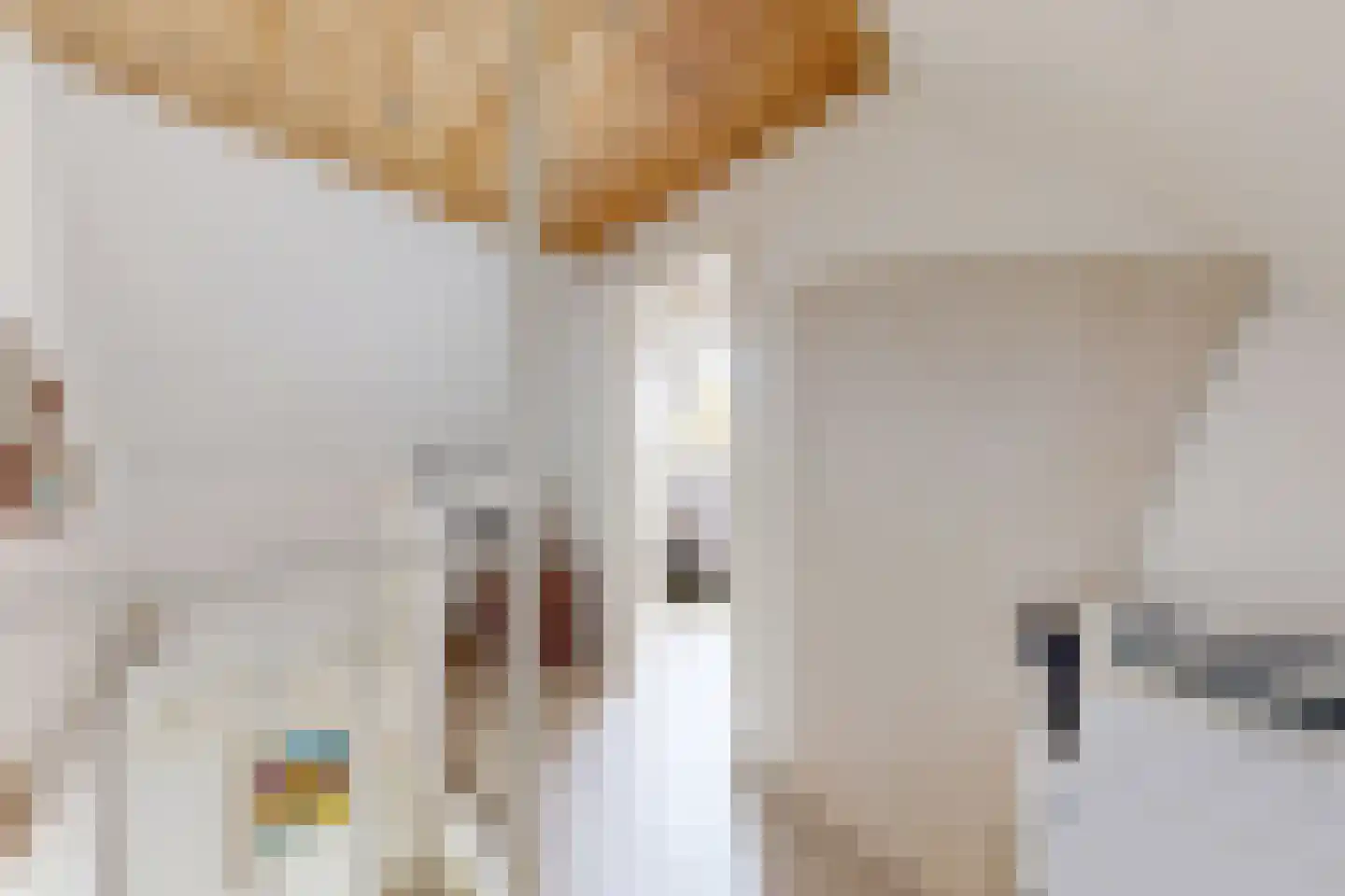 Leeuwerikstraat 24 Fijnaart thumbnail 52