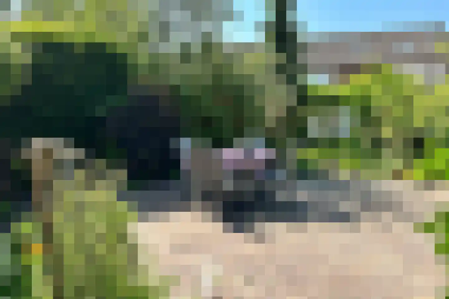 Leeuwerikstraat 24 Fijnaart thumbnail 52