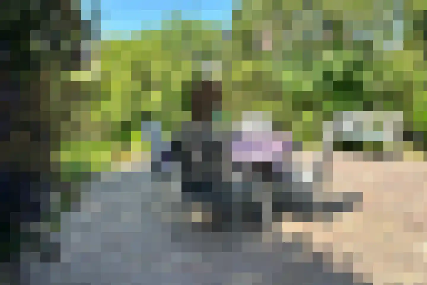 Leeuwerikstraat 24 Fijnaart thumbnail 53