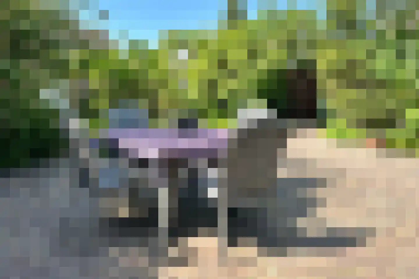 Leeuwerikstraat 24 Fijnaart thumbnail 54