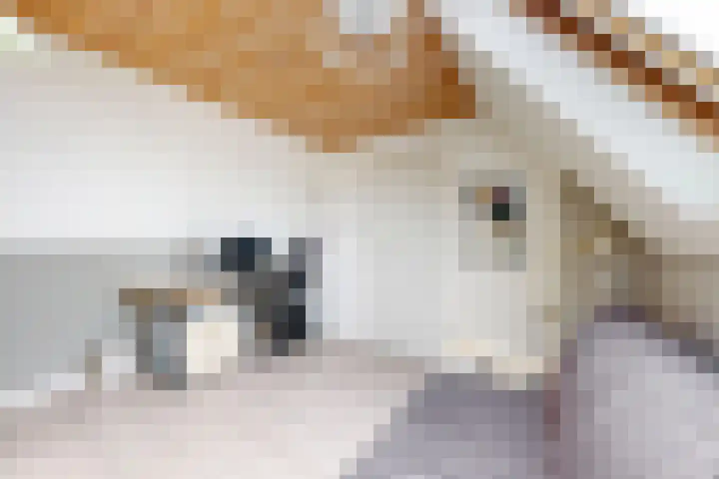 Leeuwerikstraat 24 Fijnaart thumbnail 54