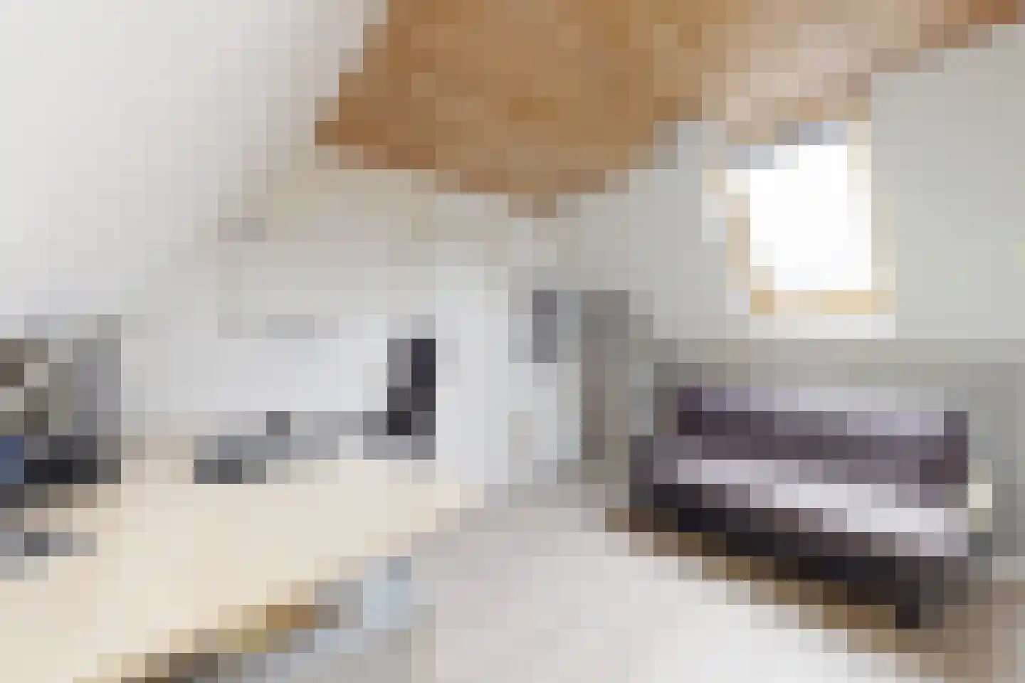 Leeuwerikstraat 24 Fijnaart thumbnail 55
