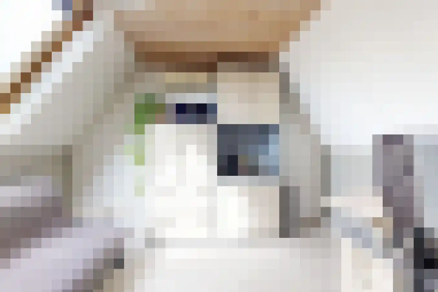 Leeuwerikstraat 24 Fijnaart thumbnail 56