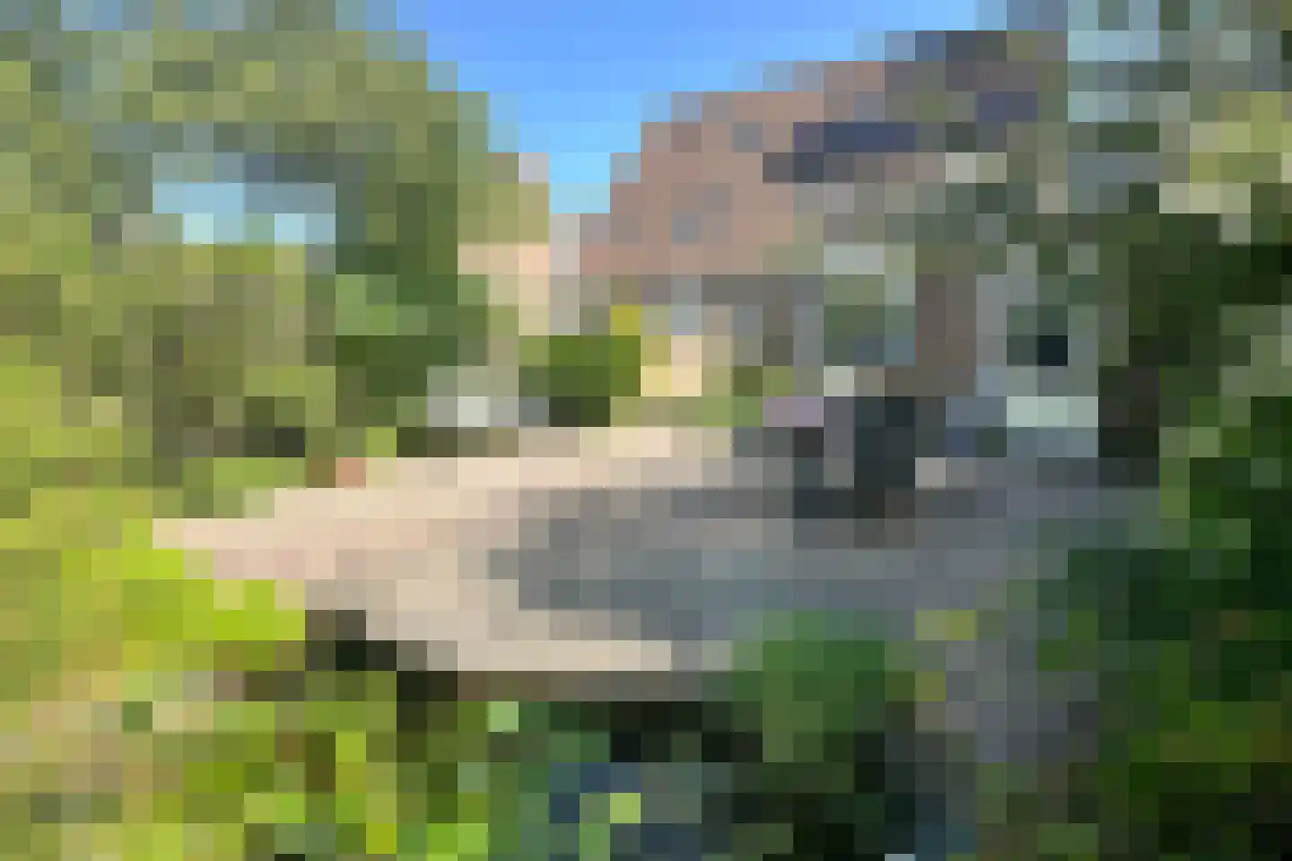 Leeuwerikstraat 24 Fijnaart thumbnail 56