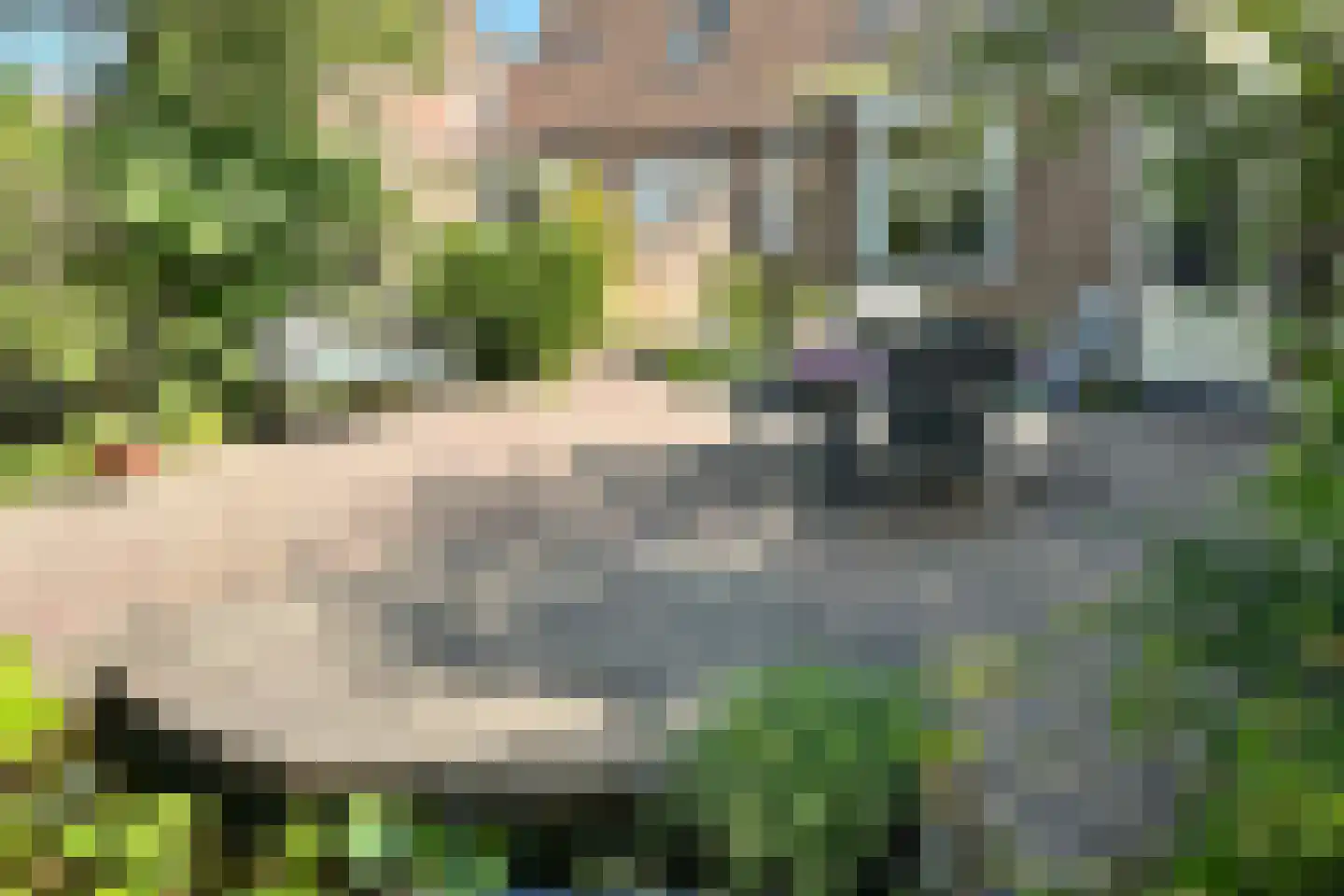 Leeuwerikstraat 24 Fijnaart thumbnail 57