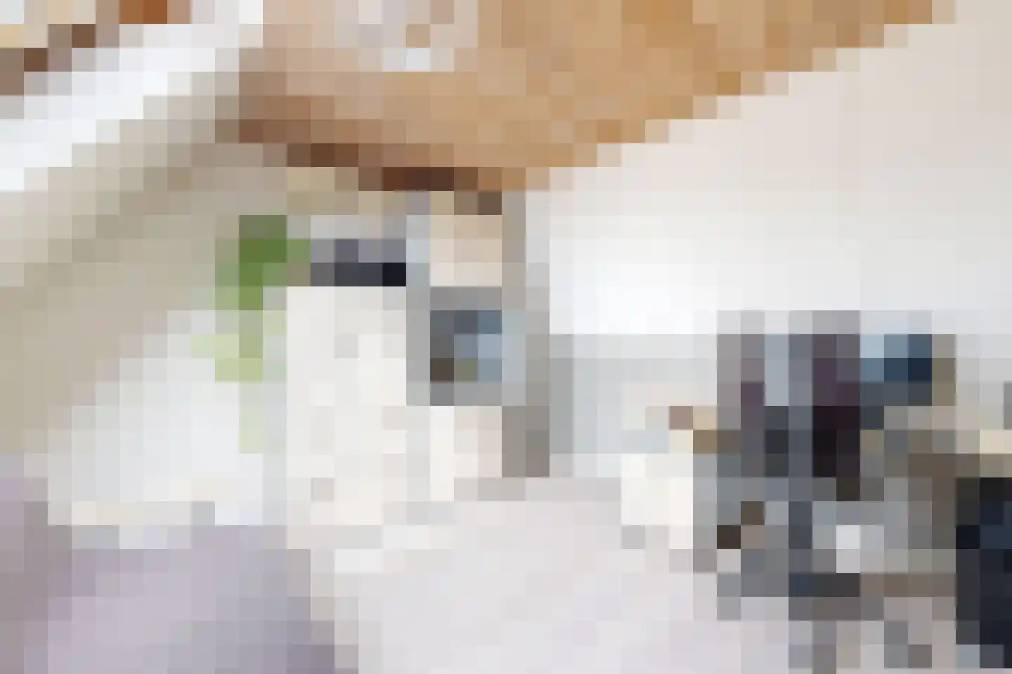 Leeuwerikstraat 24 Fijnaart thumbnail 57