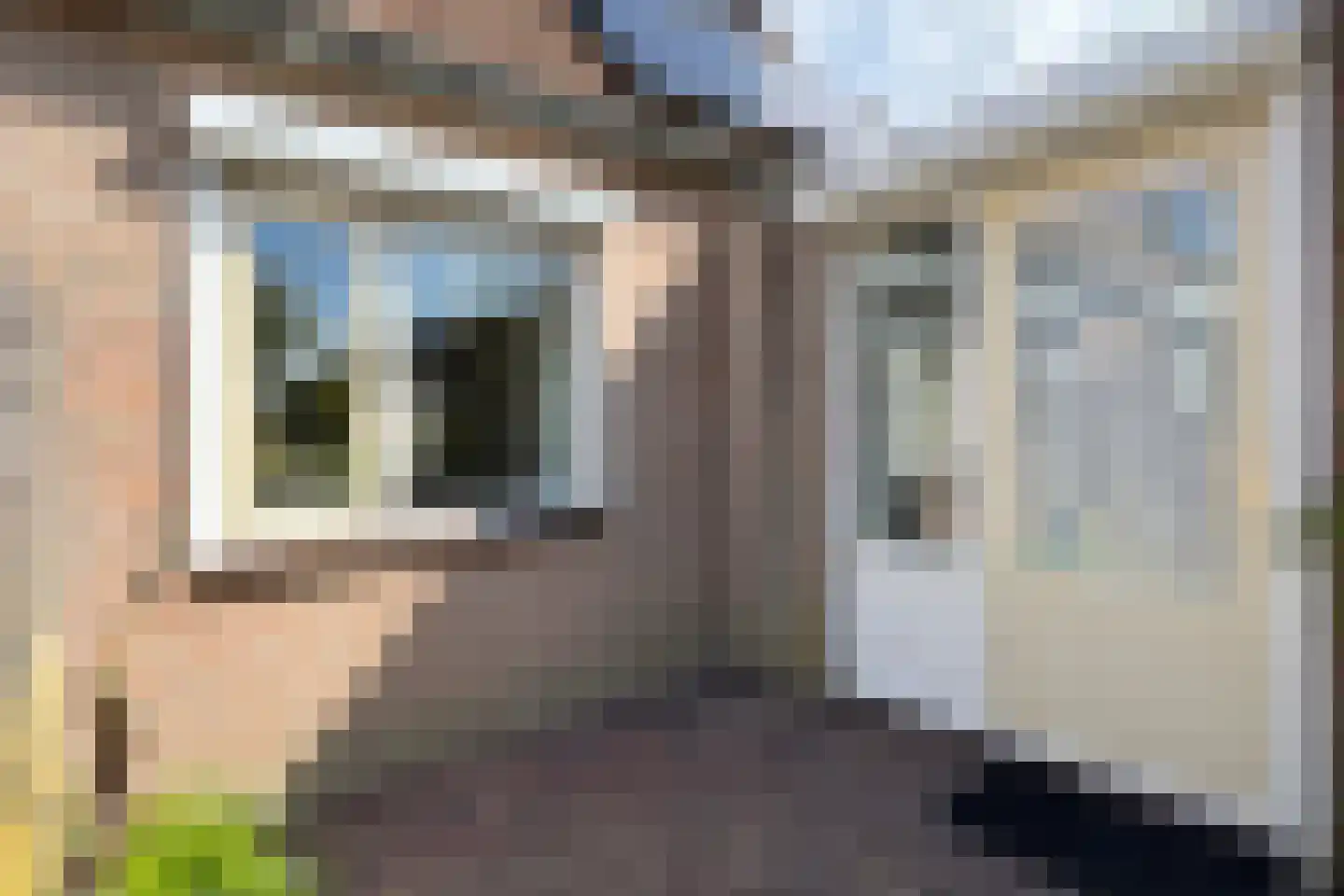 Leeuwerikstraat 24 Fijnaart thumbnail 58