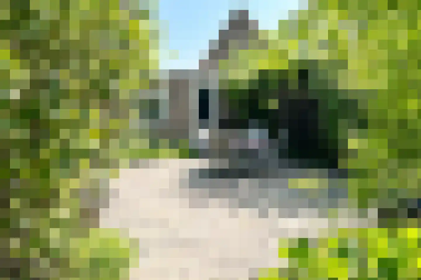Leeuwerikstraat 24 Fijnaart thumbnail 58