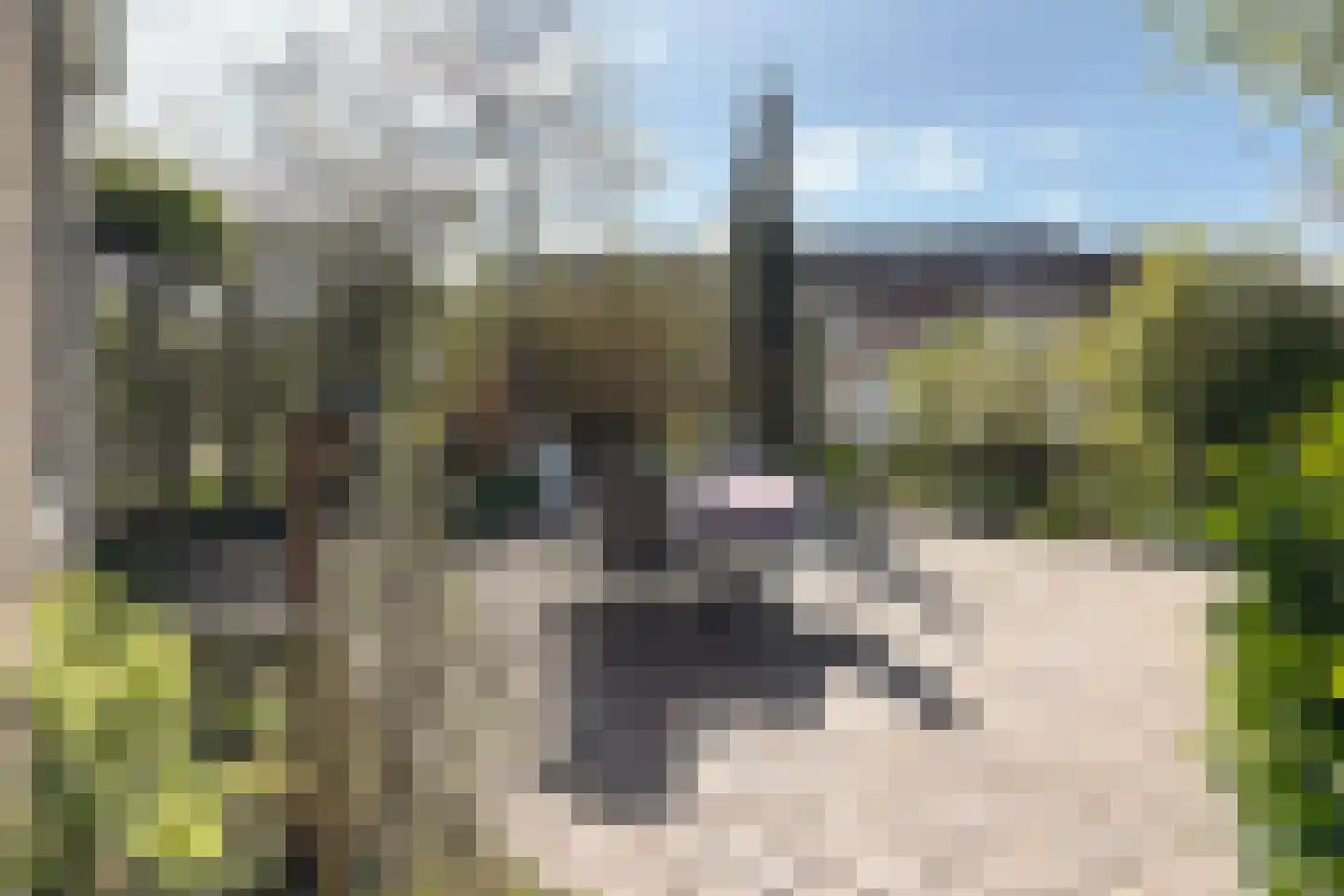 Leeuwerikstraat 24 Fijnaart thumbnail 60
