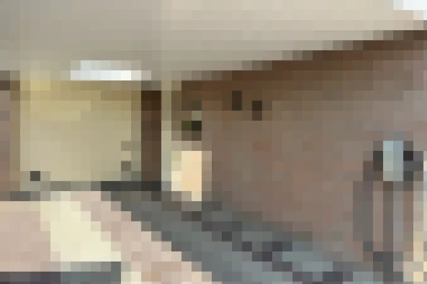 Leeuwerikstraat 24 Fijnaart thumbnail 61